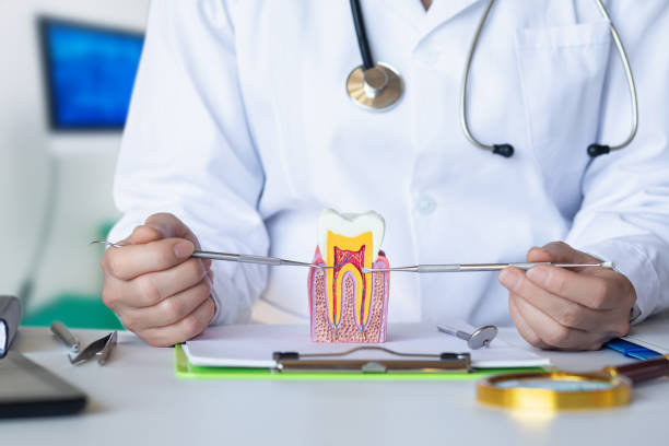 Best Emergency Tooth Extraction in Wentworth, NC